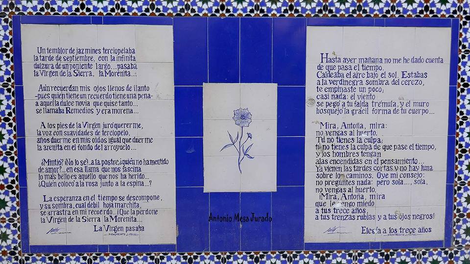 Efectos del vendaval en Cabra el 3 de febrero de 2017.